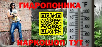 марки nbome Кингисепп