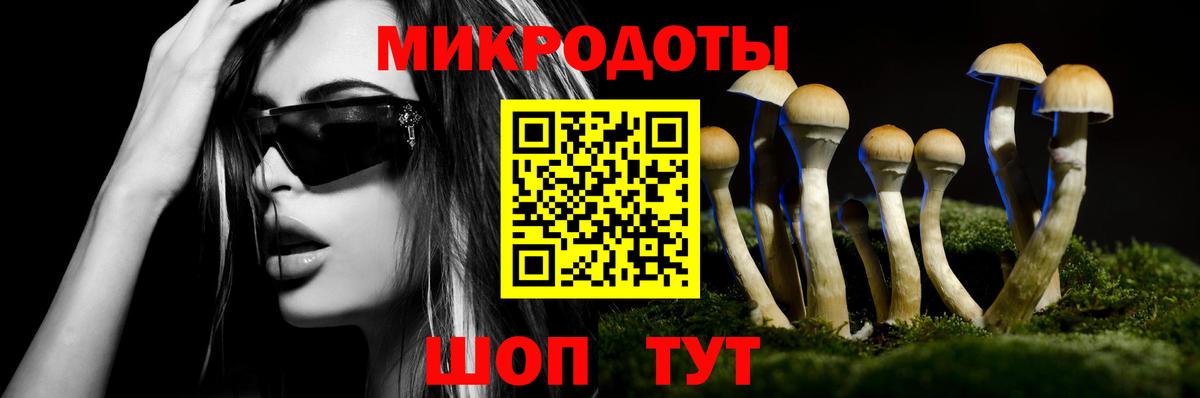 Кольчугино  Галлюциногенные грибы Psilocybine cubensis  закладки  Галлюциногенные грибы MAGIC MUSHROOMS  Вход с VPN 