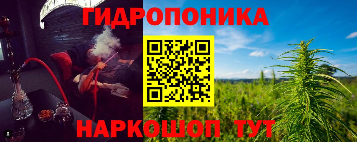 Конопля AK-47  Конопля Amnesia  Кольчугино  Бошки марихуана семена  Вход с VPN  Шишки марихуана Ganja 